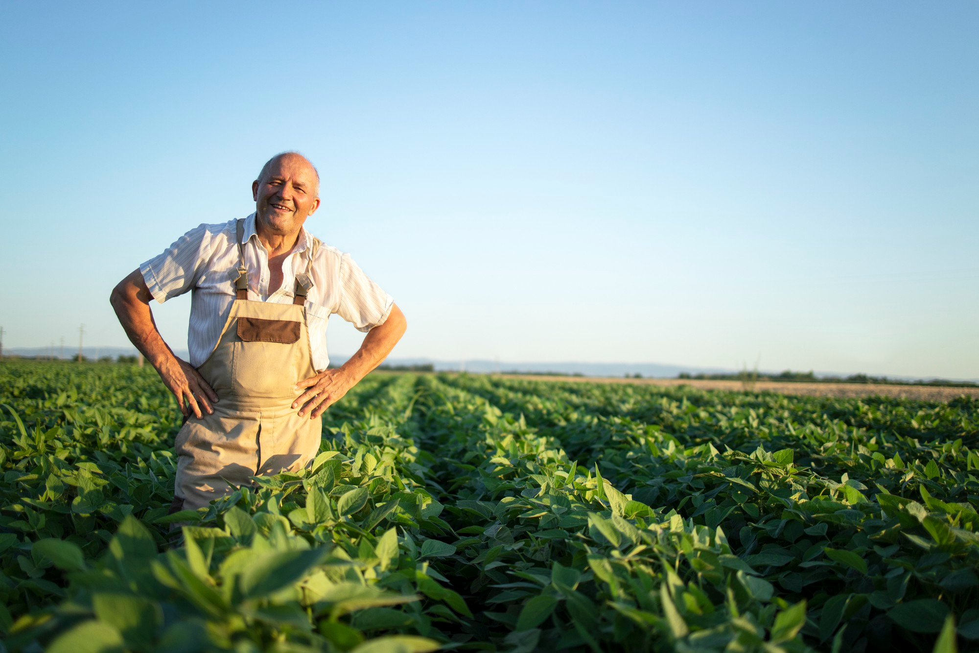 Indian farmer standing in green field